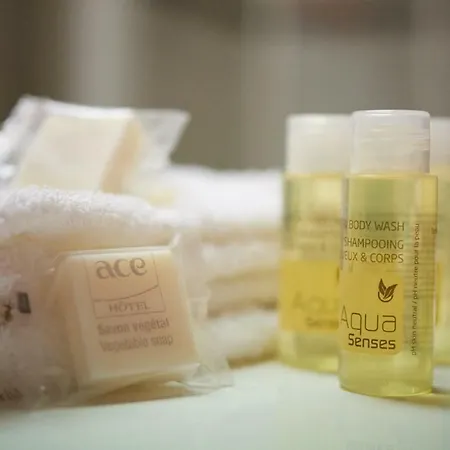 Ace Vendee Saint Hermine